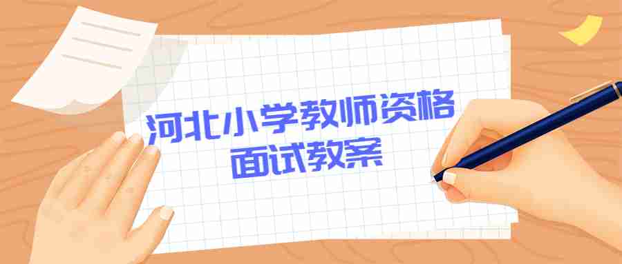 河北小学教师资格面骚