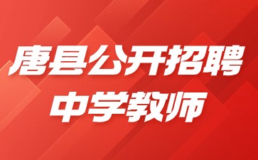 唐县公开招聘中学教师